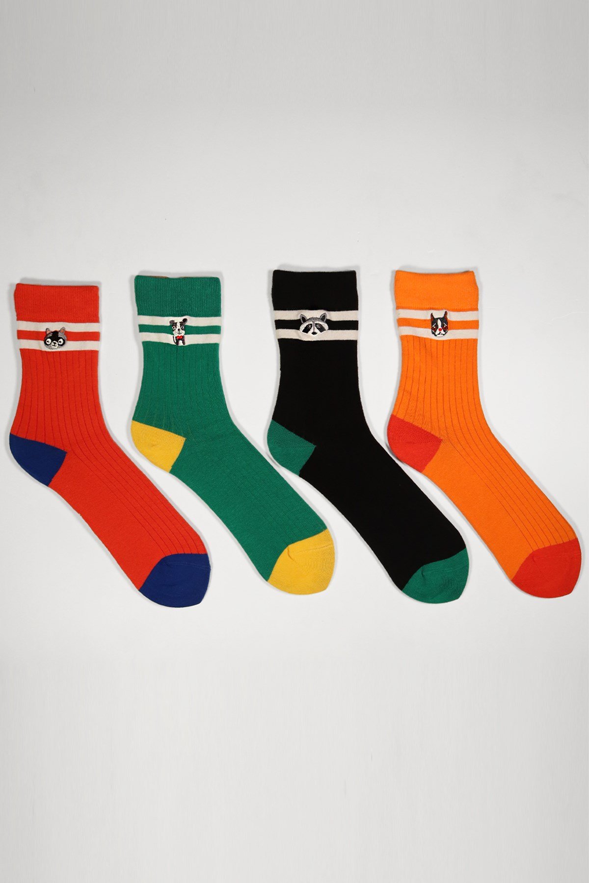 4lü Paket Animals Box Unisex Art Soket Çorap Siyah/Yeşil/Kırmızı/Turuncu